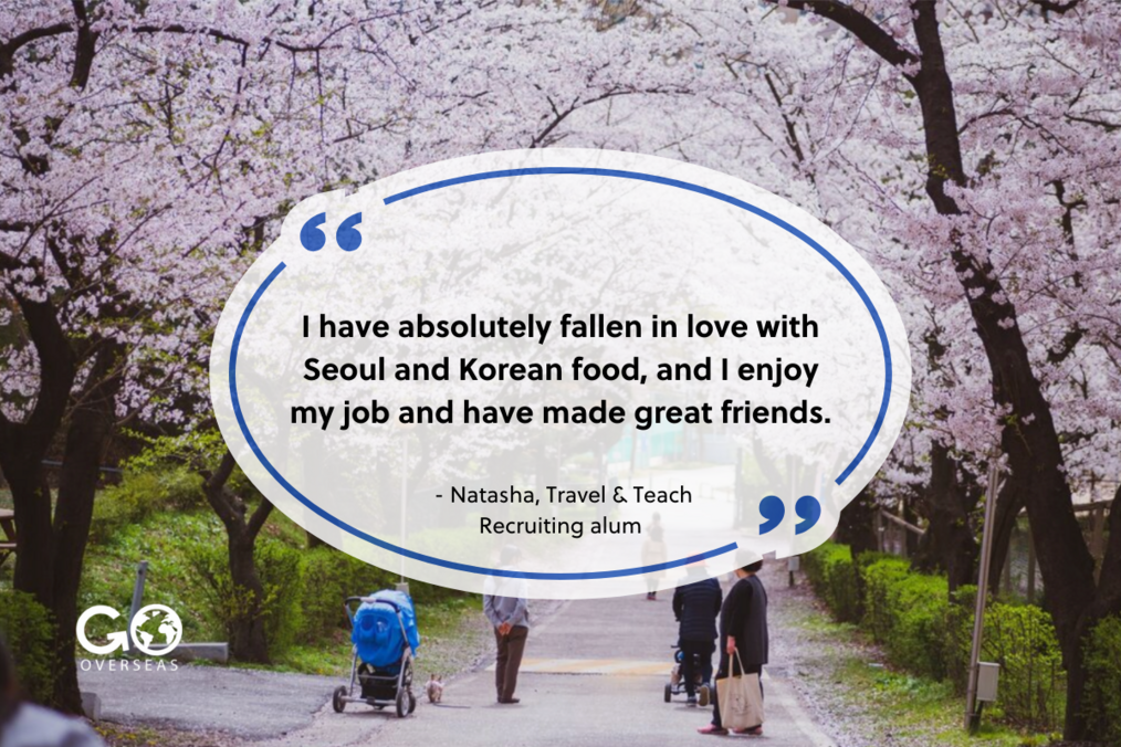 Teach in Korea with Travel & Teach Recruiting Inc. Cherry blossoms and quote from Travel & Teach alum
